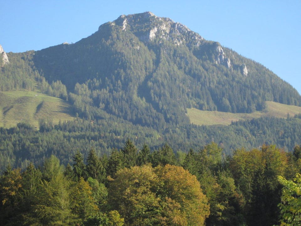 Ausblick vom Zimmer Alm- & Wellnesshotel Alpenhof