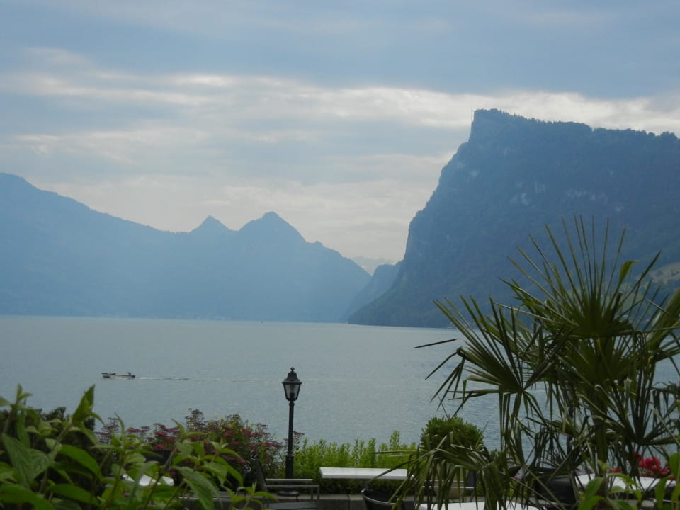 Blick zum Vierwaldstätter See Seehotel Kastanienbaum