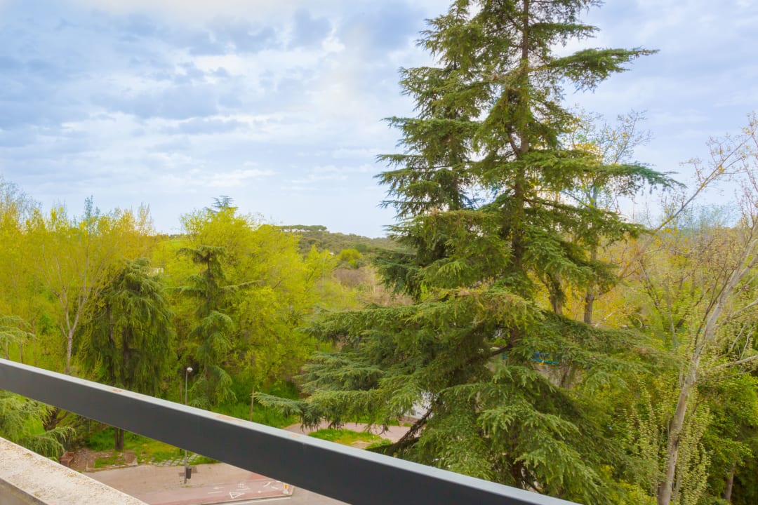 Ausblick Eurostars Monte Real