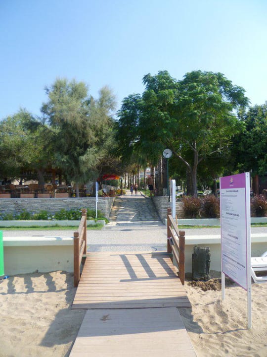 Blick vom Strand Arum Barut Collection