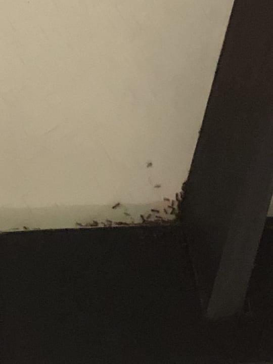 Zimmer Kihaa Maldives