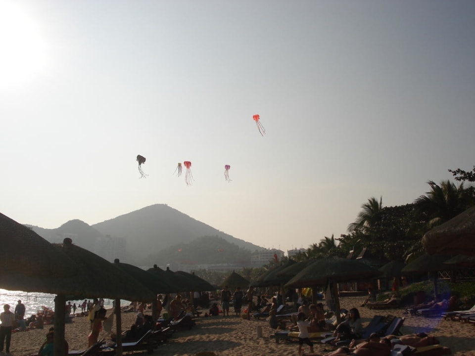 Змеи кружили над пляжем Hotel Resort Intime