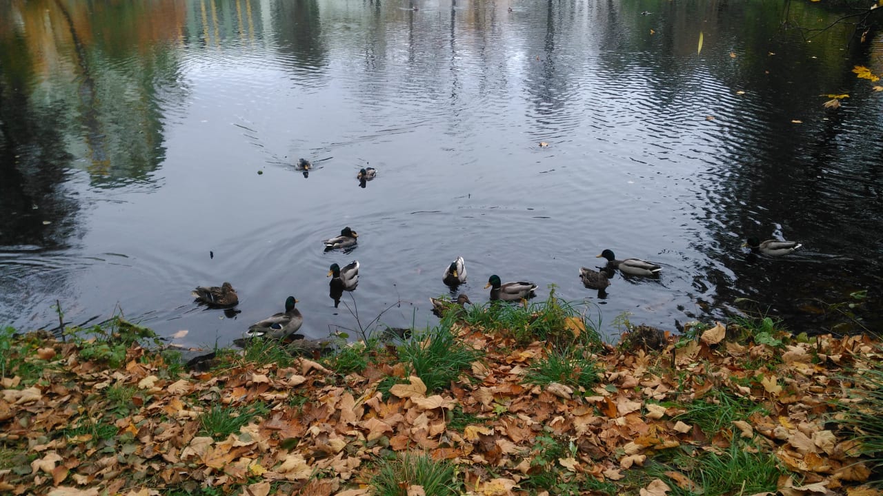 Sonstiges Parkhotel Sokolov