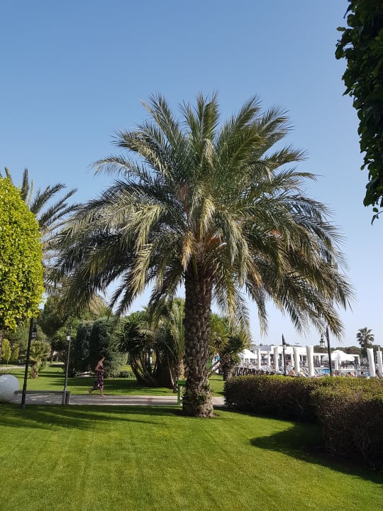 Gartenanlage Voyage Belek Golf & Spa
