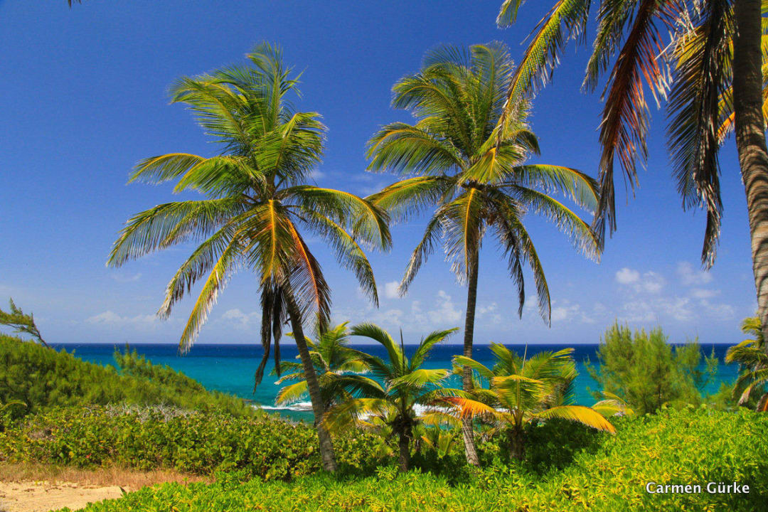 Strand Hotel Stella Maris Resort