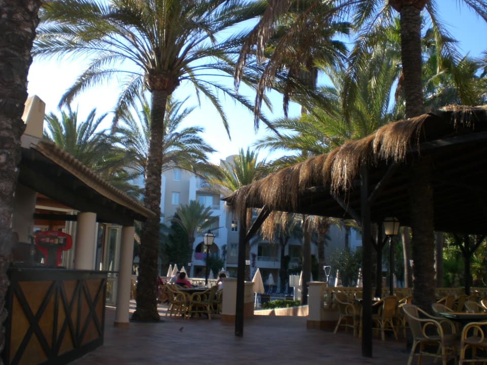 Barausblick Protur Safari Park Aparthotel