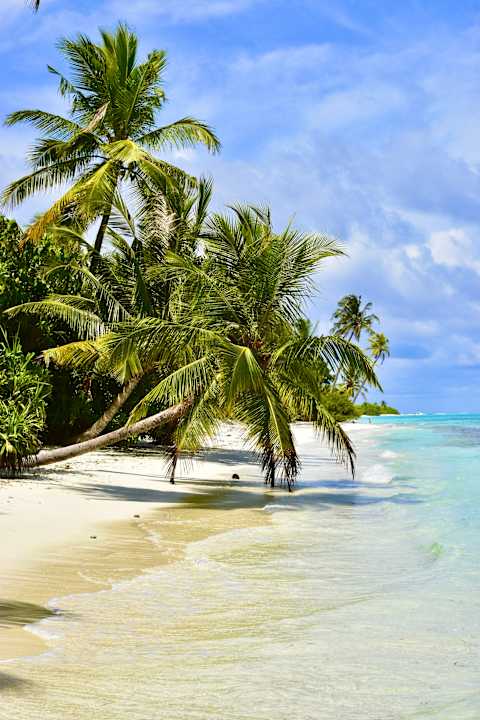 Strand Dhiguveli Maldives