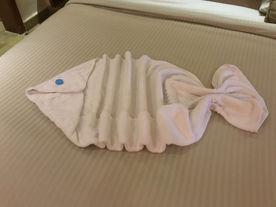 Zimmer Grand Waterworld Makadi & Family Star Makadi