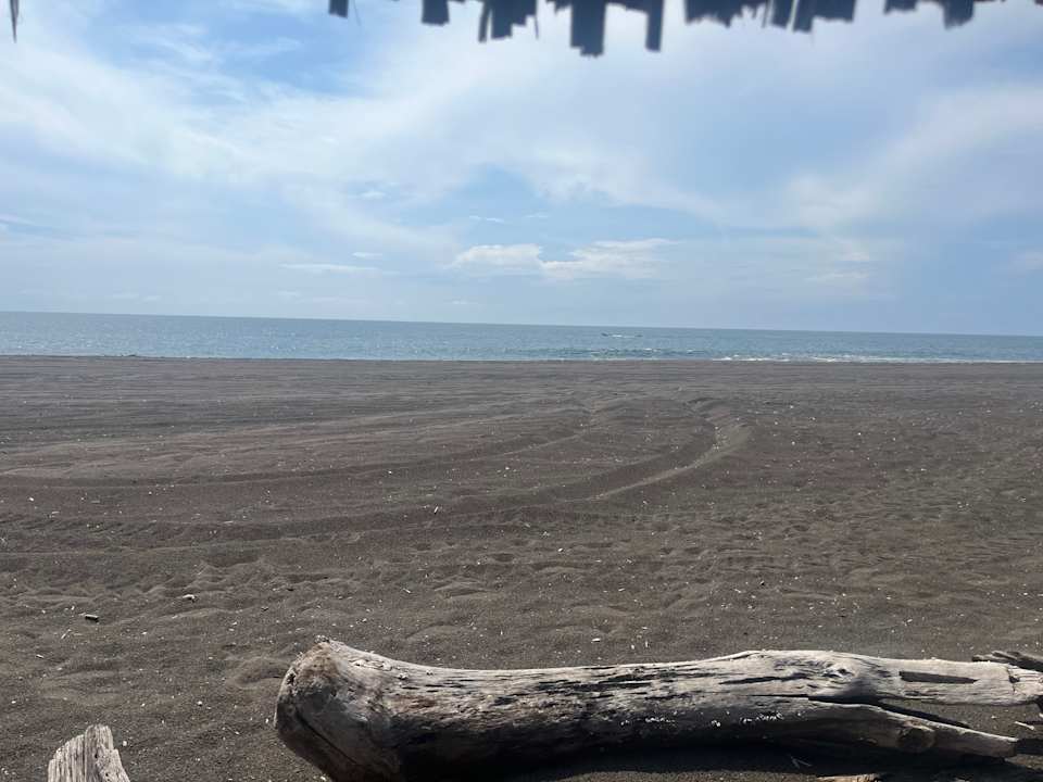 Strand Hotel Pez de Oro