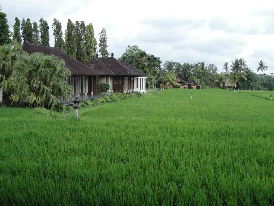 Ausblick vom "Speisesaal" Tanah Gajah, a Resort by Hadiprana