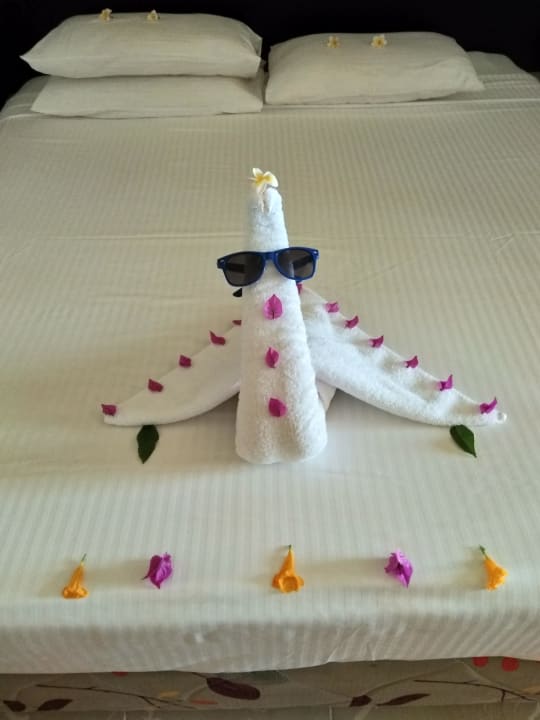 Zimmer Malikia Resort Abu Dabbab