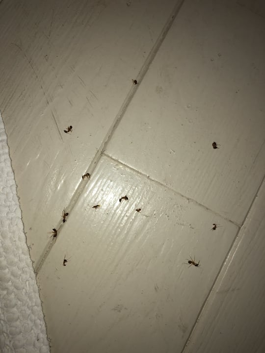 Zimmer Kihaa Maldives