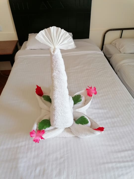 Zimmer Three Corners Sea Beach Resort