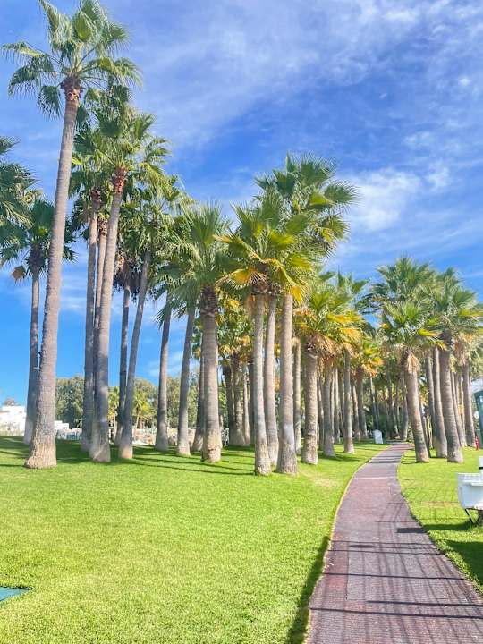 Gartenanlage Monachus Family Resort Sorgun