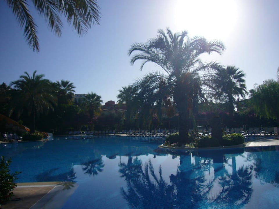 Morgens am Pool Side Star Elegance