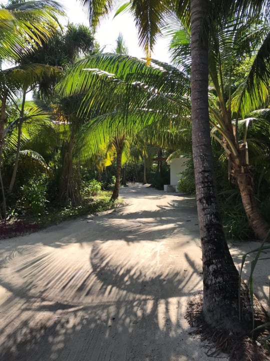 Gartenanlage Dhigali Maldives