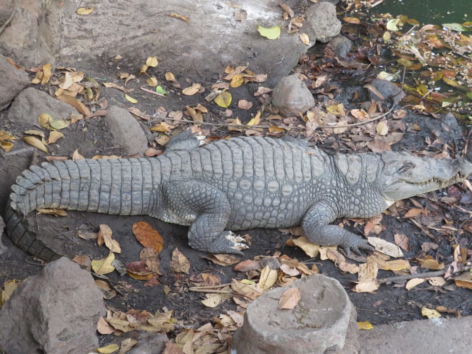 Sonstiges TUI BLUE Tamala