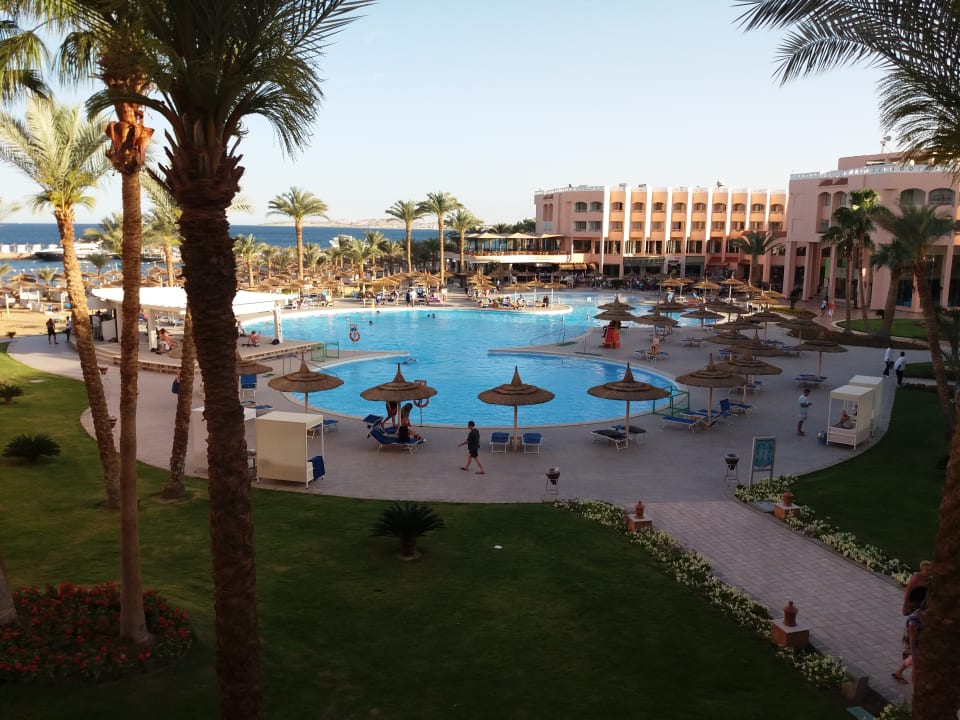 Pool Beach Albatros Resort