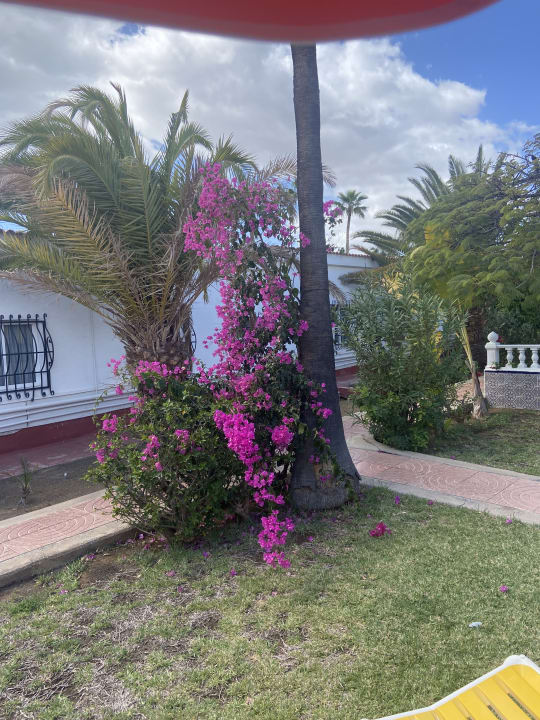 Außenansicht San Valentin & Terraflor Park