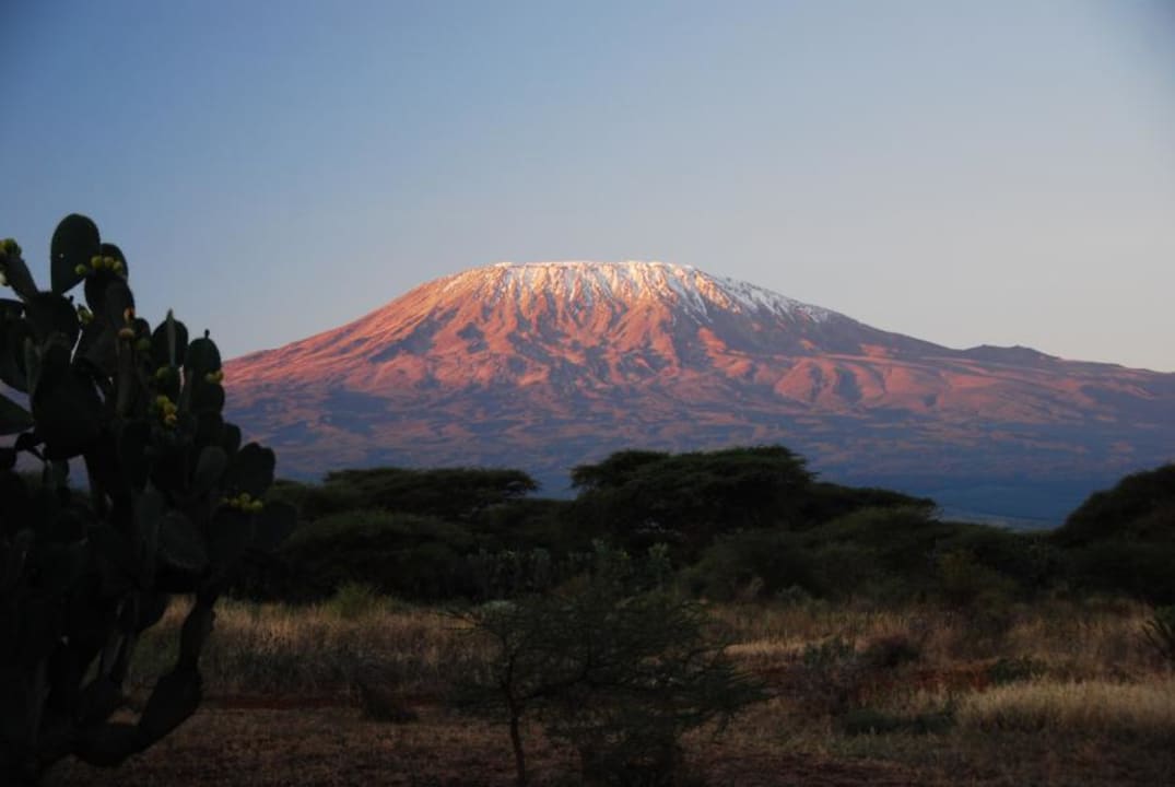 Der Kili früh um 6.00 Uhr Hotel Amboseli Sopa Lodge