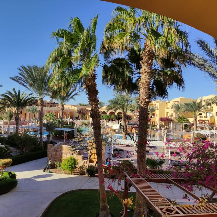 Gartenanlage Steigenberger Coraya Beach - Adults only