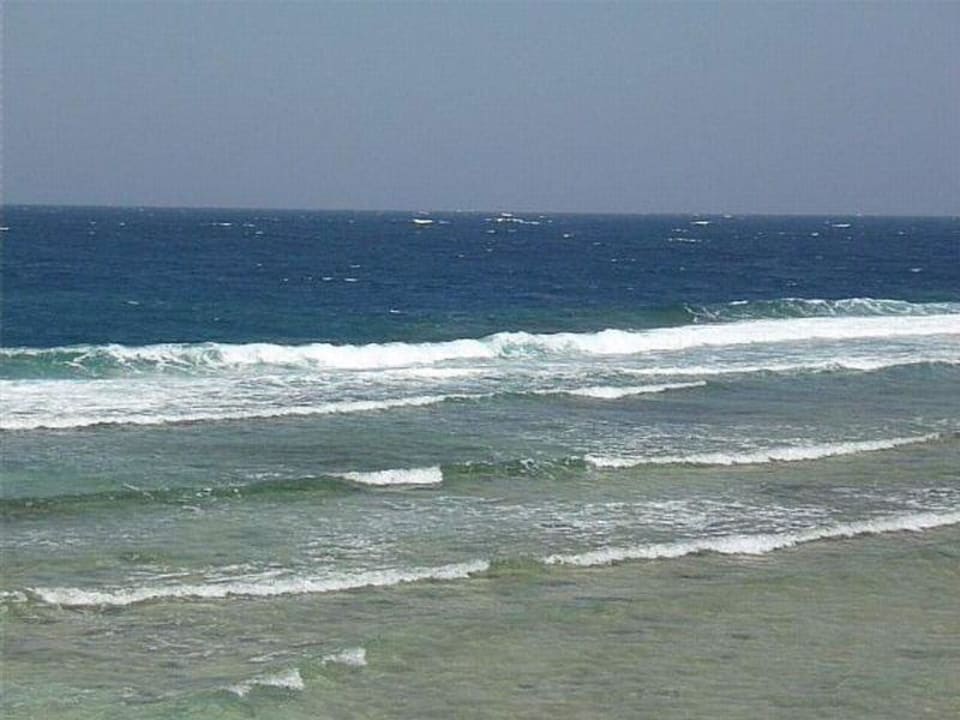 Blick auf das Riffdach Mövenpick Resort El Quseir