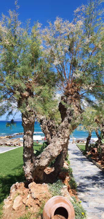 Gartenanlage Mitsis Rinela