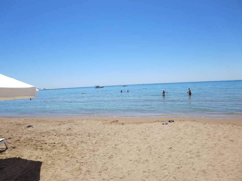 Strand Acanthus Cennet Barut Collection