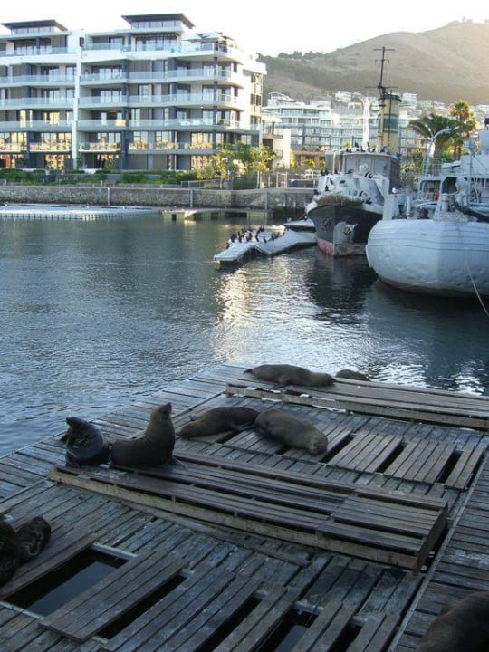 Aussenansicht African Elite Properties