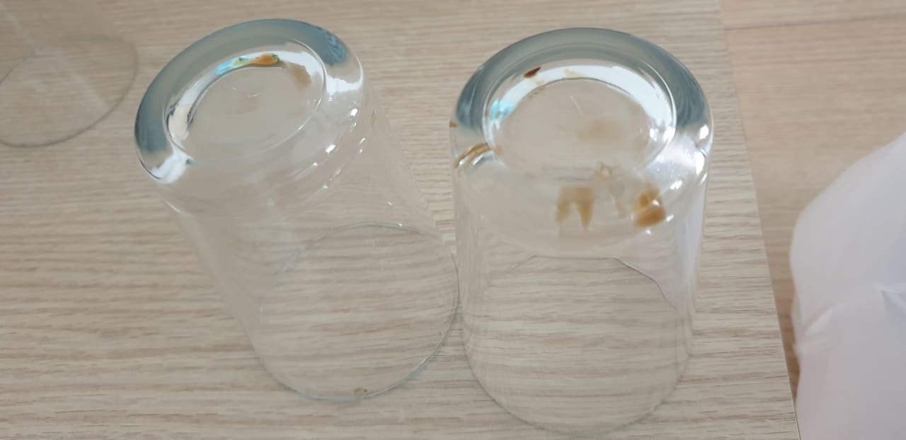 Zimmer Gardenia Hotel