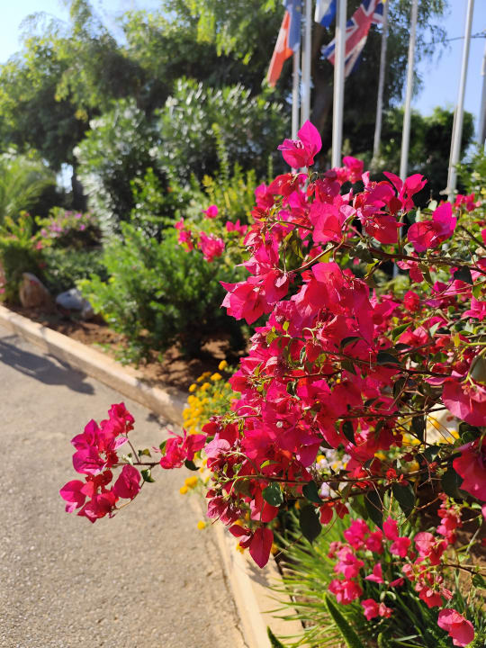 Gartenanlage Anissa Beach & Village