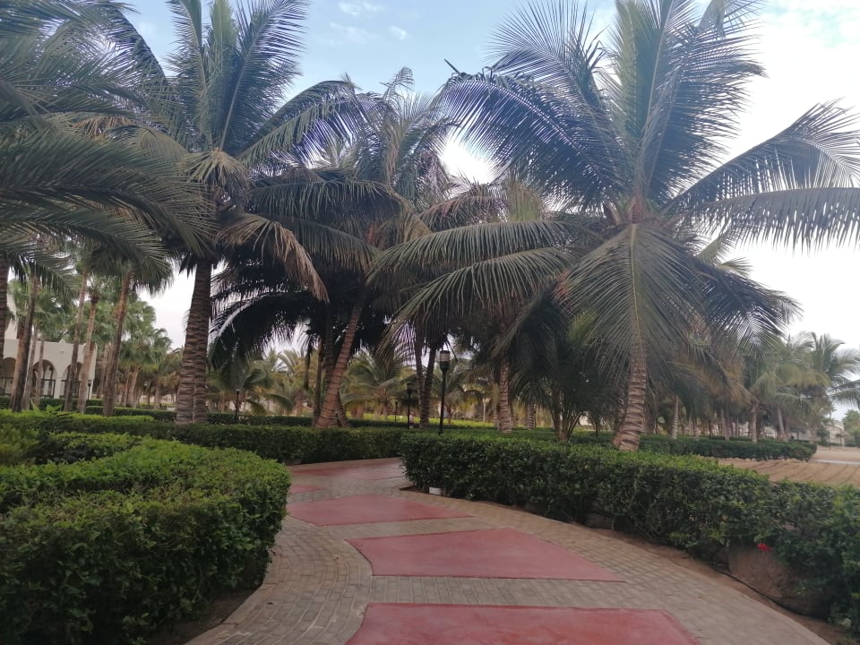 Gartenanlage Hotel Riu Karamboa
