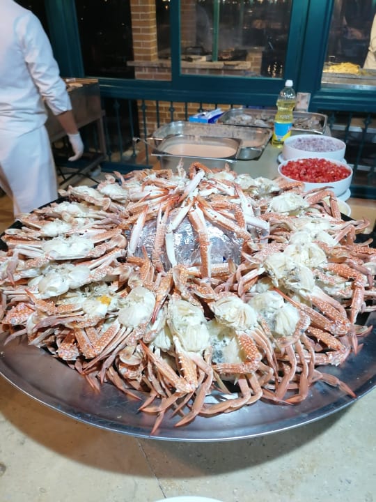 Gastro Club Paradisio El Gouna, Red Sea