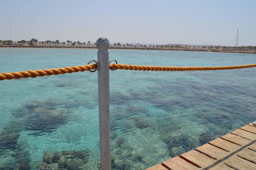 Der Steg  Jaz Solaya