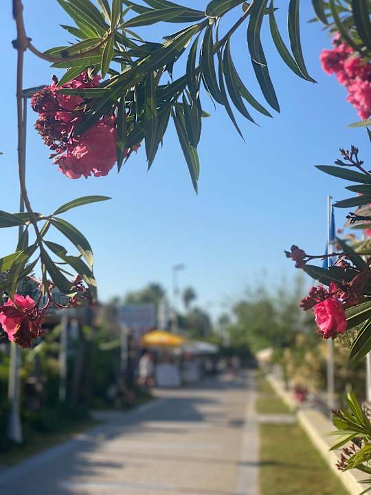 Strand Nerton Hotel - Erwachsenenhotel ab 16 Jahren