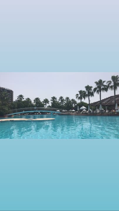Pool Lara Barut Collection