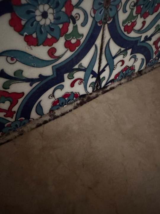 Zimmer Well Palace Side