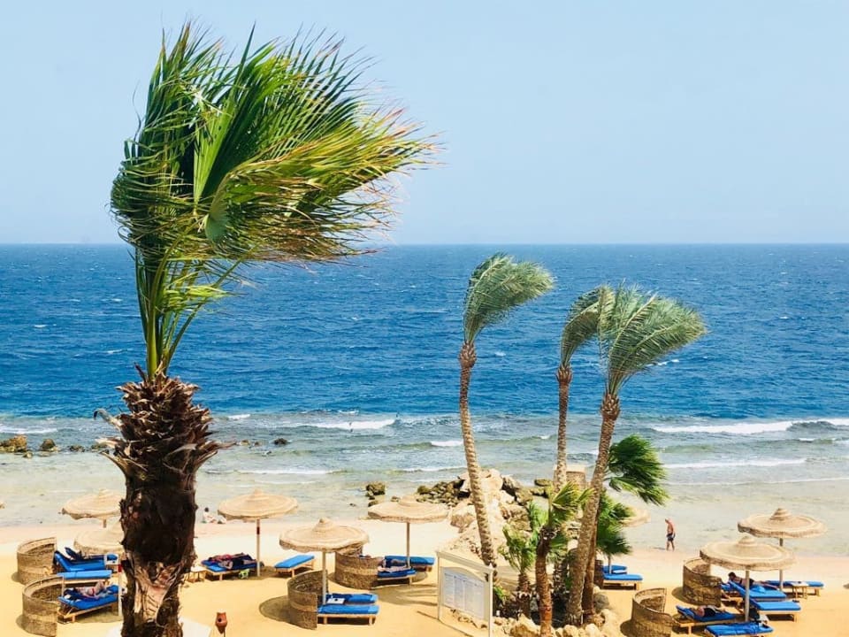 Strand Pickalbatros Citadel Resort