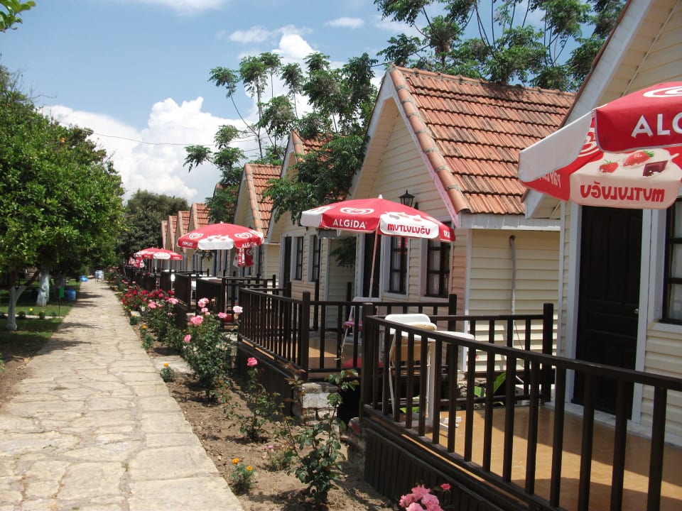 Bungalowreihe Clover Magic Nova Beach