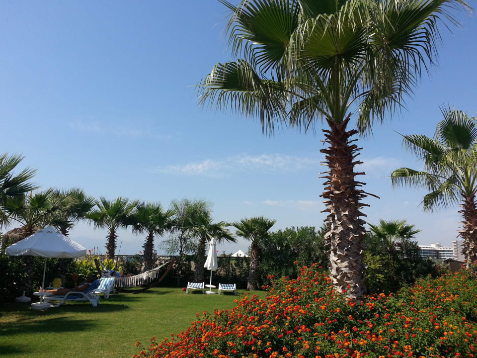 Sehr schöne Anlage Saturn Palace Resort Hotel