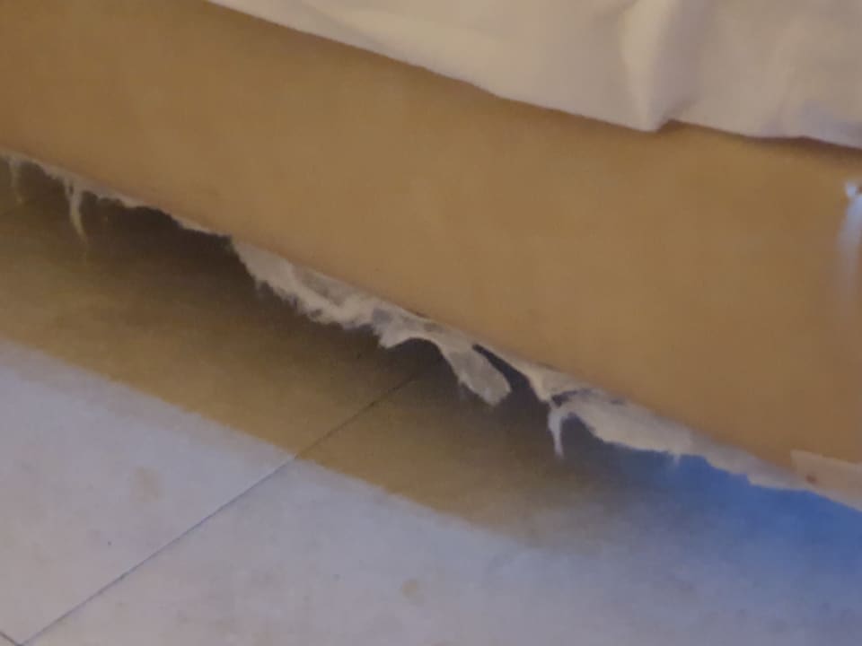 Zimmer La Palma Princess