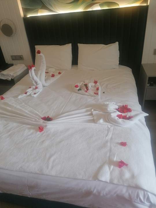 Zimmer Dream Fun World