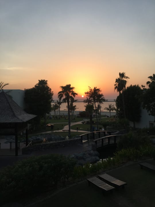 Ausblick JA Palm Tree Court