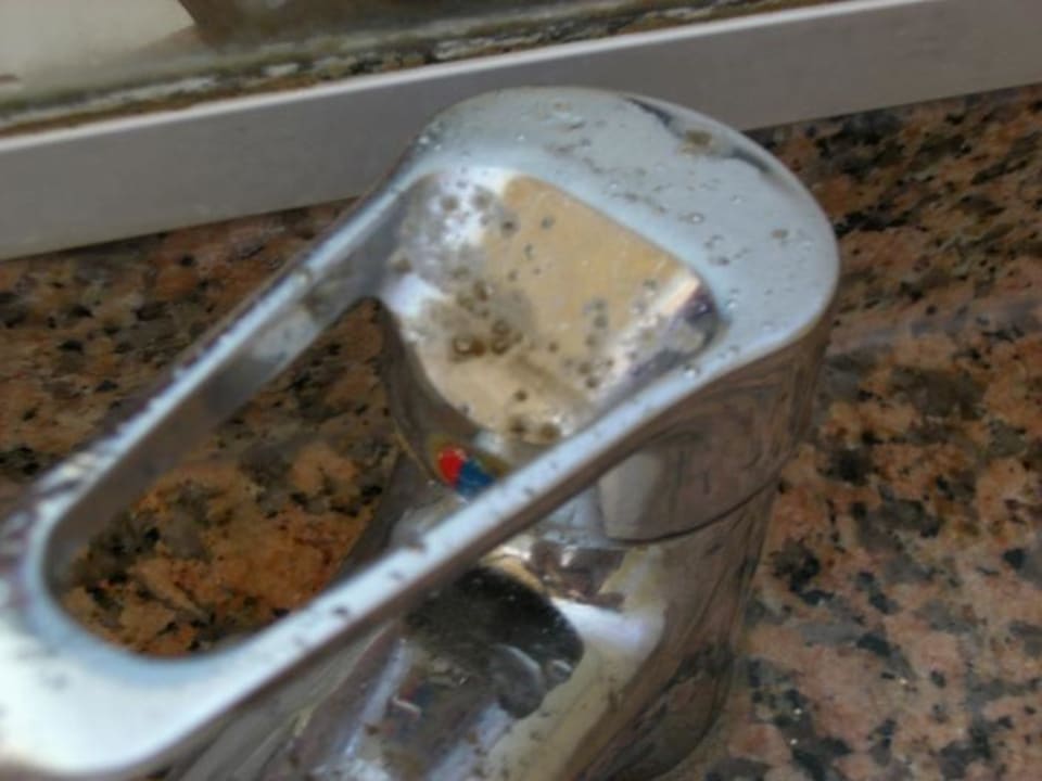 Und die hygienischen Wasserhähne am Strand Hotel Orfeus Park