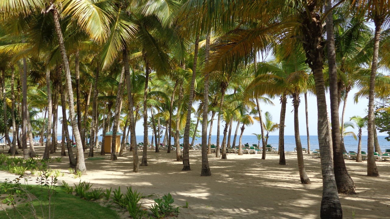 Von der Strandbar zum Liegeplatz Playabachata Hotel