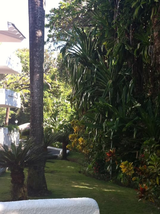 Gartenanlage Sunscape Puerto Plata