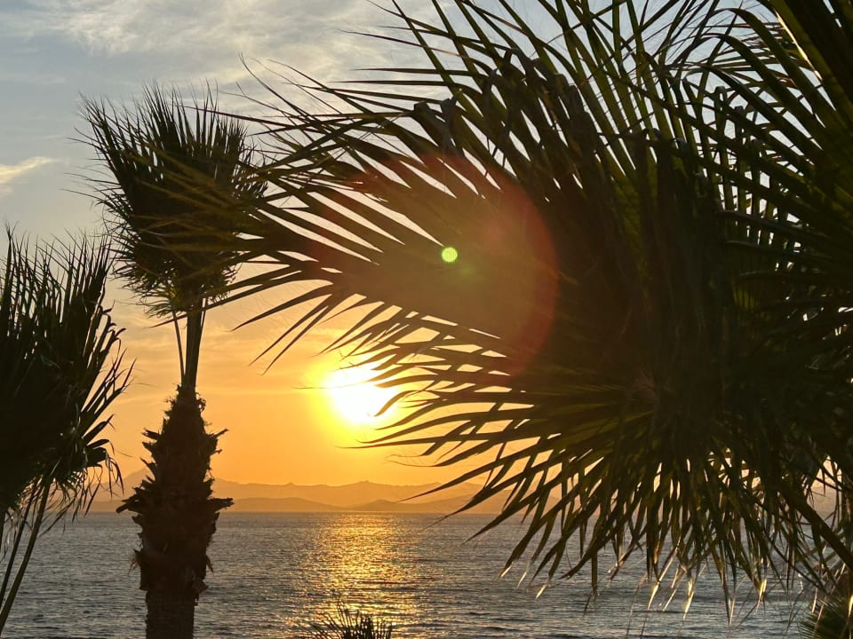 Strand TUI MAGIC LIFE Bodrum - Adult Only (16+)
