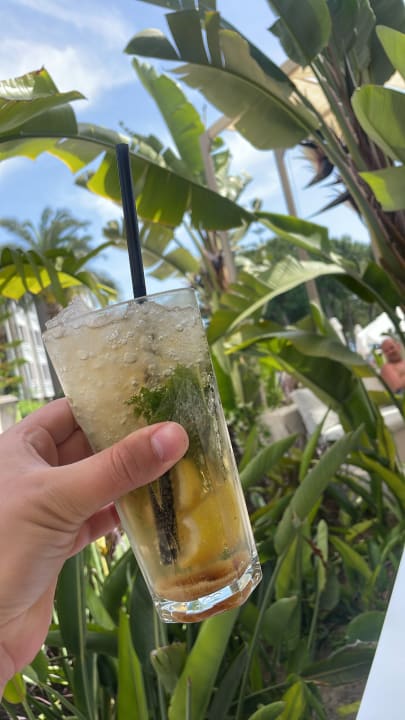 Gastro PALOMA Perissia