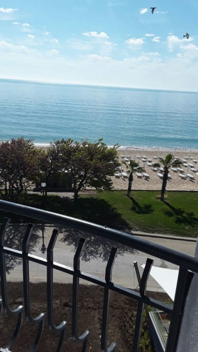 Ausblick Sentido Marea