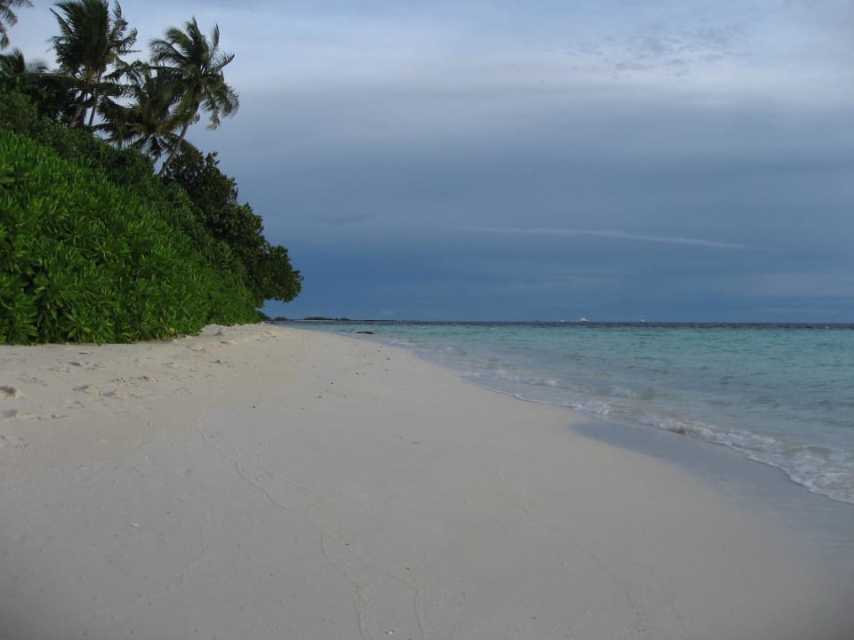 Strand Biyadhoo Island Resort